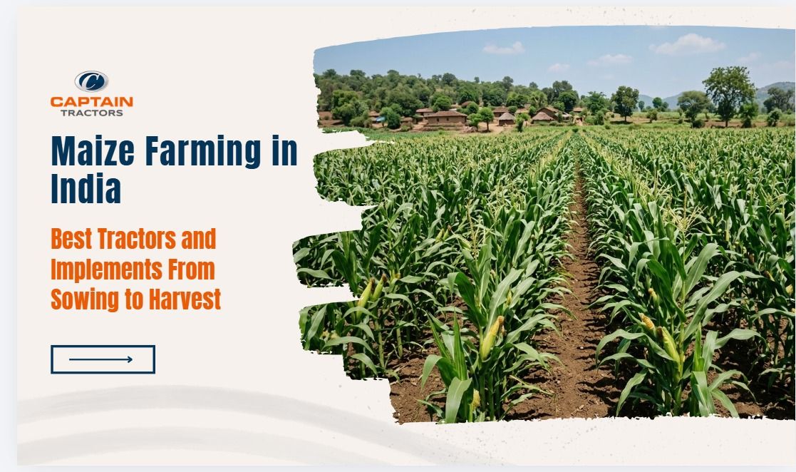 Maize Farming.jpeg