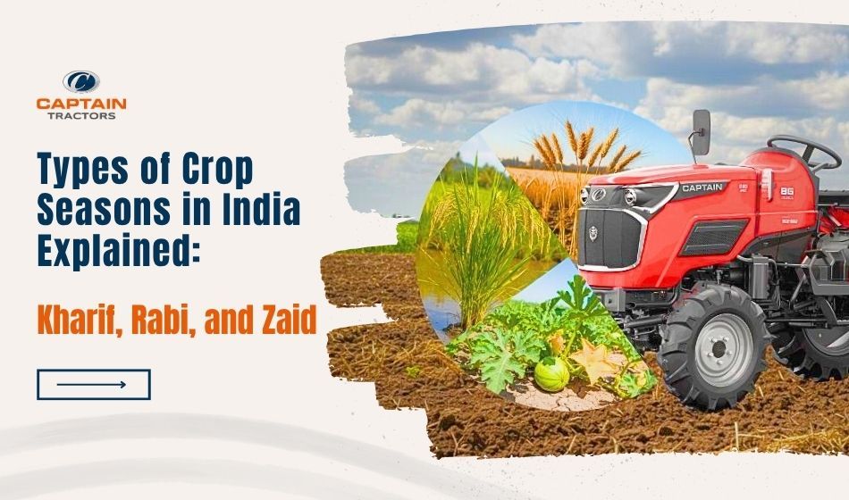 Types of Crop Seasons in India Explained Kharif, Rabi, and Zaid.jpg